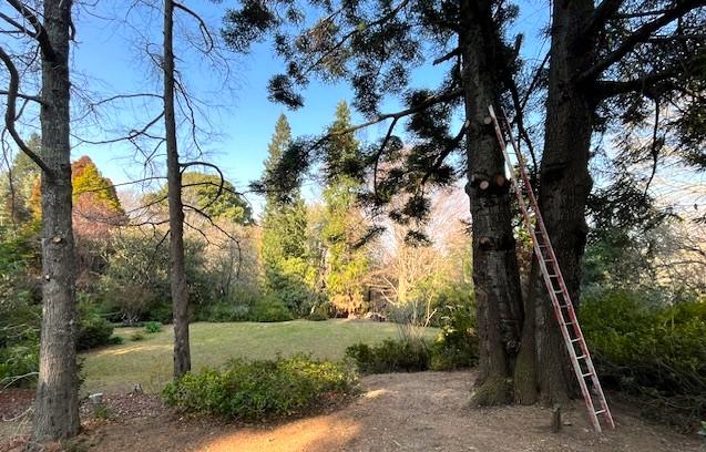 1 Bedroom Property for Sale in Hogsback Eastern Cape